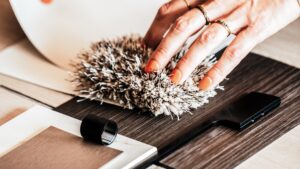 Lees meer over het artikel Vul je huis met liefde